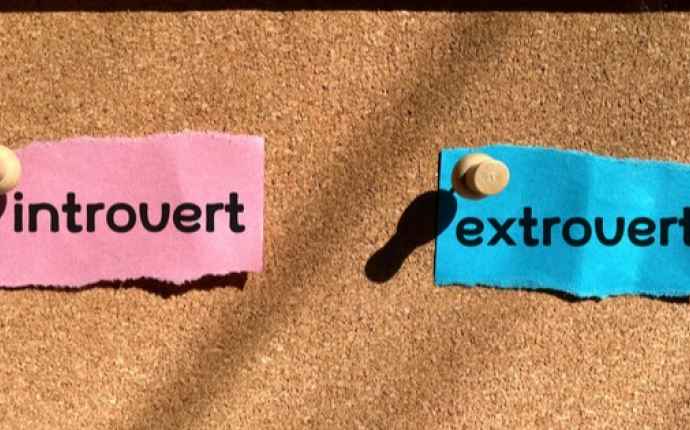 Ekstrovert og introvert personlighedstype