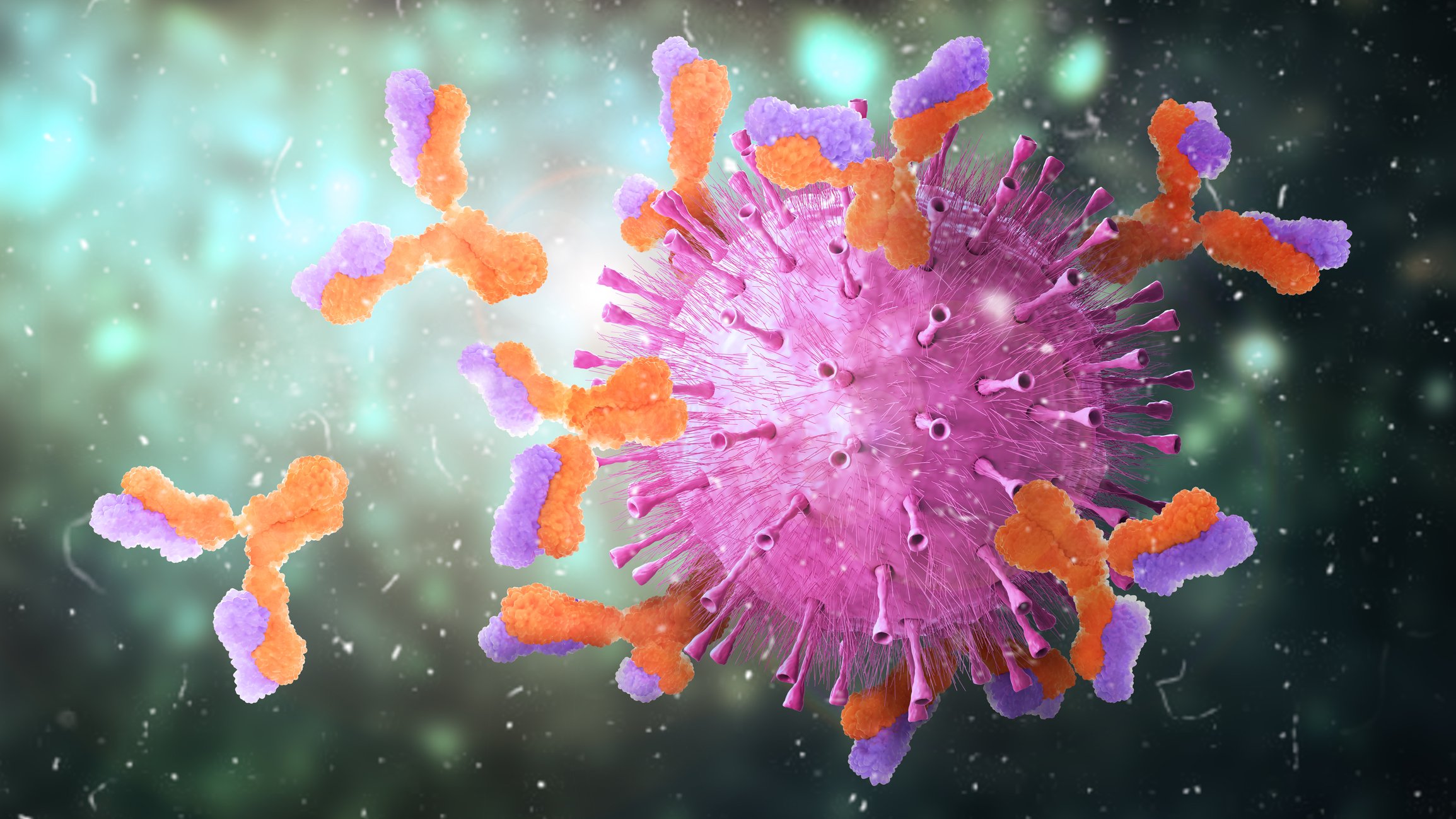 Antistoffer genkender og markerer et fremme virus