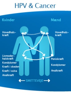 keglesnit udflåd keglesnit udflåd