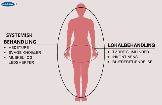 Illustration af lokal og systemisk hormonbehandling i overgangsalderen Lokal og systemisk behandling